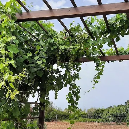 Tenuta Macchia Li Preti * Morciano di Leuca