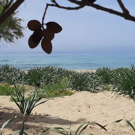 Tenuta Macchia Li Preti Morciano di Leuca
